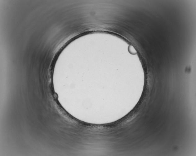 X0000114220885200911201043