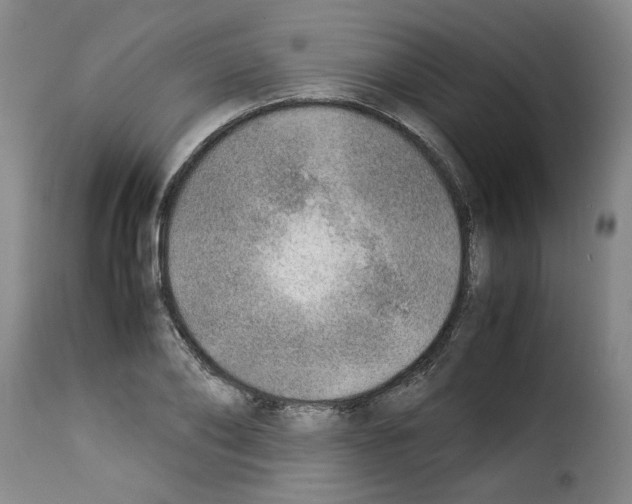 X0000114220886200911201043