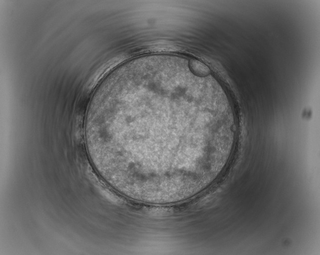 X0000114220889200911201043