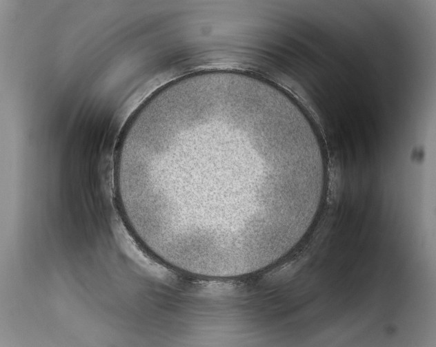 X0000114220890200911201043