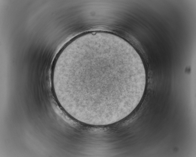 X0000114220892200911201043