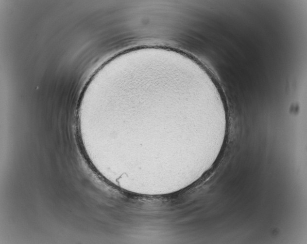 X0000114220895200911201043