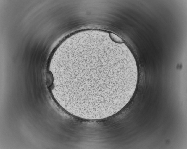 X0000114220896200911201043