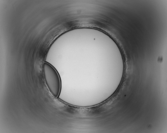 X0000114220897200911201043
