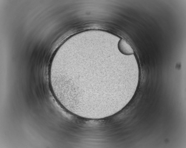 X0000114220898200911201043