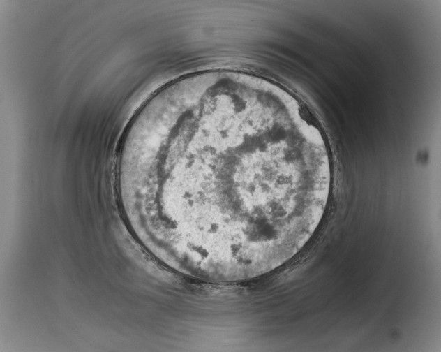 X0000114220899200911201043