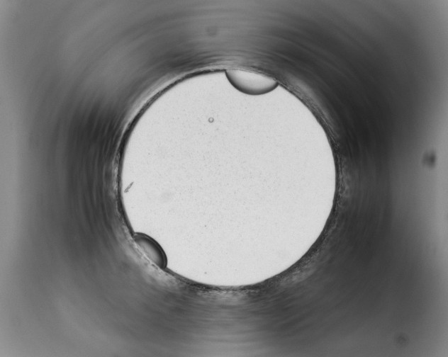 X0000114220900200911201043