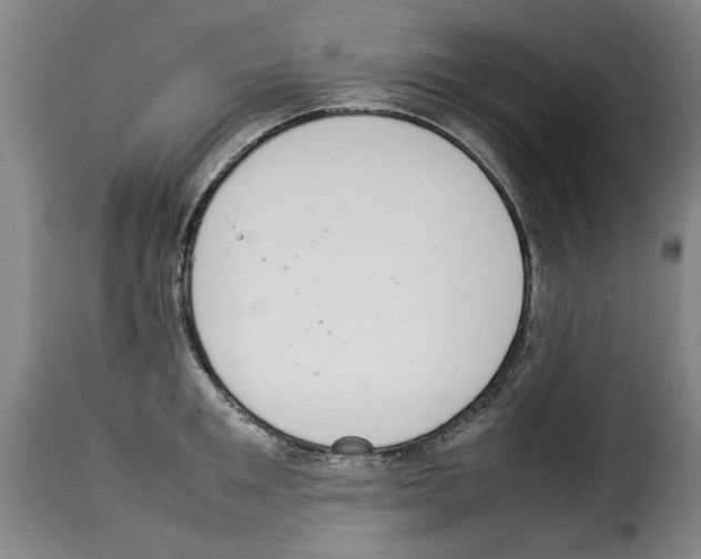 X0000114220901200911201043