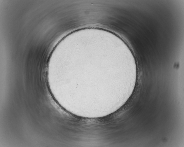 X0000114220903200911201043