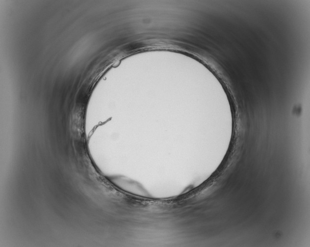 X0000114220905200911201043