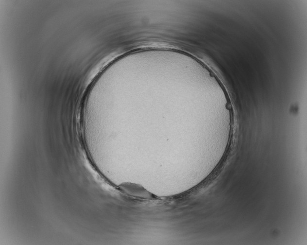 X0000114220909200911201043