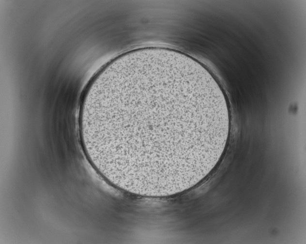 X0000114220910200911201043