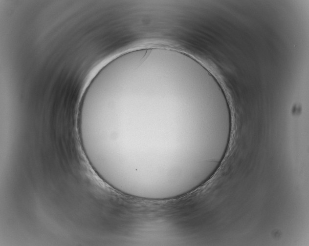 X0000114220912200911201043
