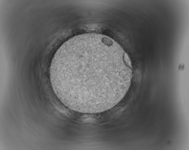 X0000114220913200911201042
