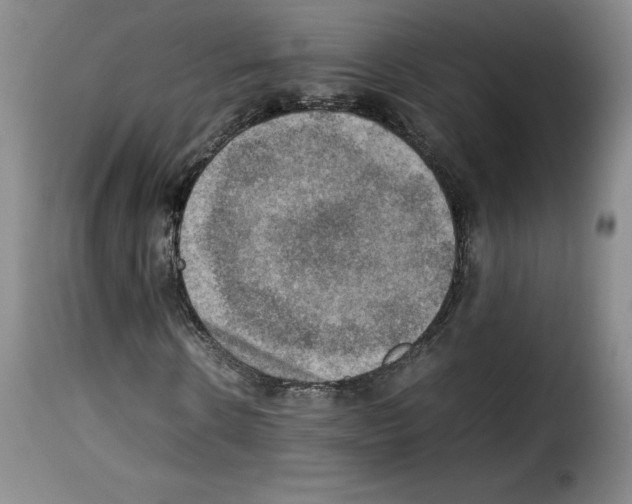 X0000114220914200911201042