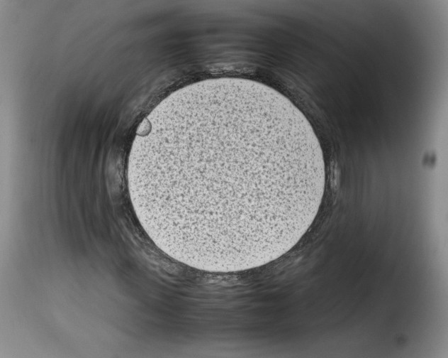 X0000114220915200911201042