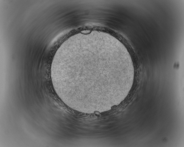 X0000114220919200911201042