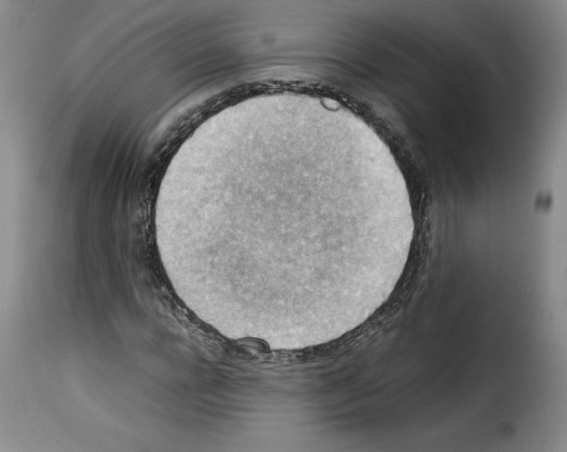 X0000114220920200911201042