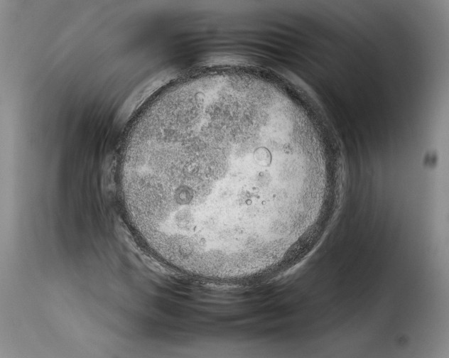 X0000114220921200911201042