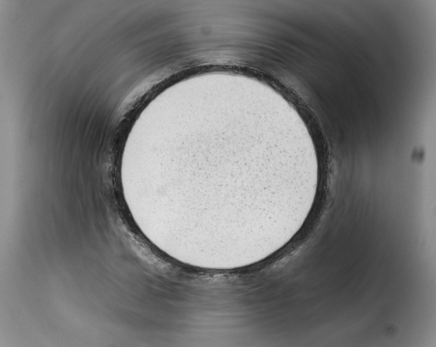 X0000114220922200911201042