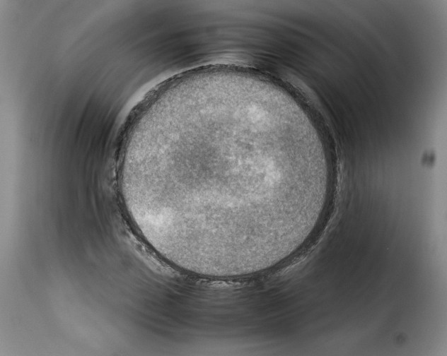X0000114220923200911201042