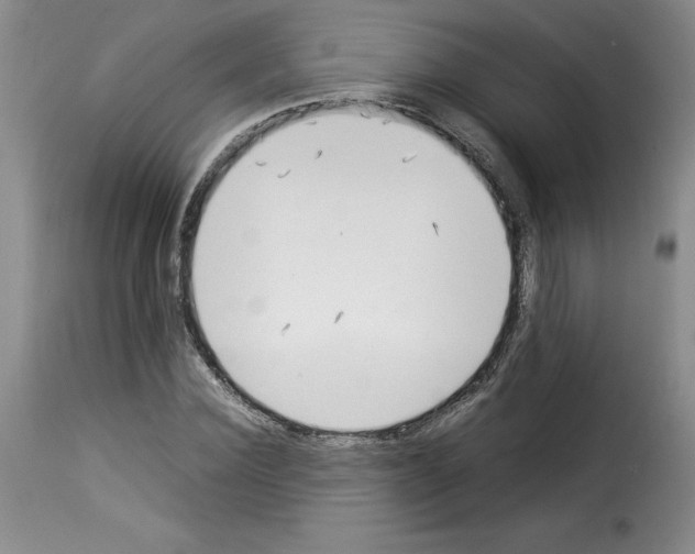 X0000114220924200911201042