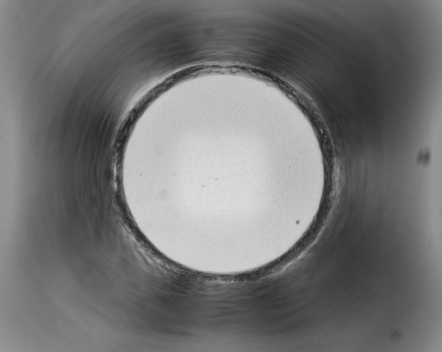 X0000114220925200911201042