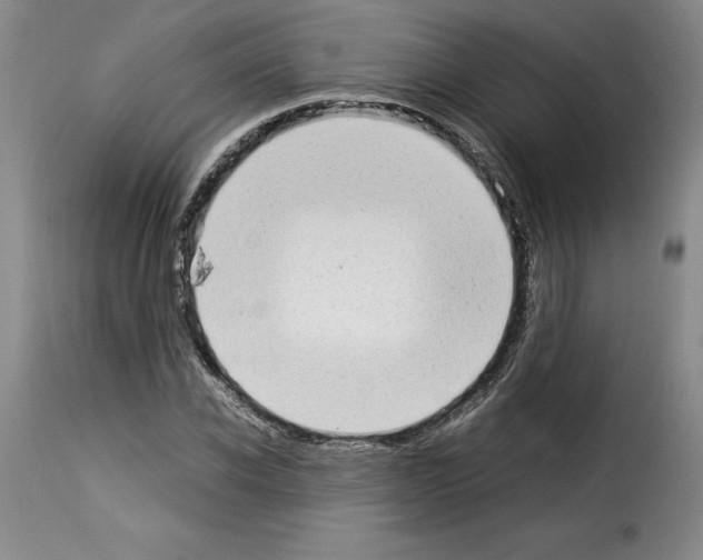X0000114220926200911201042