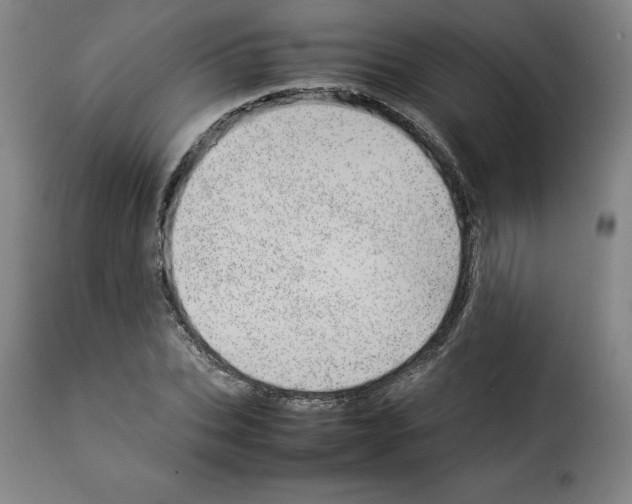 X0000114220927200911201042