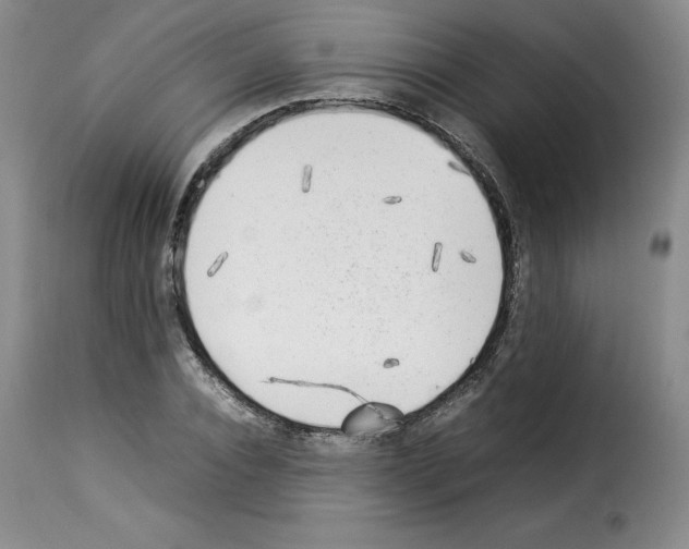 X0000114220928200911201042