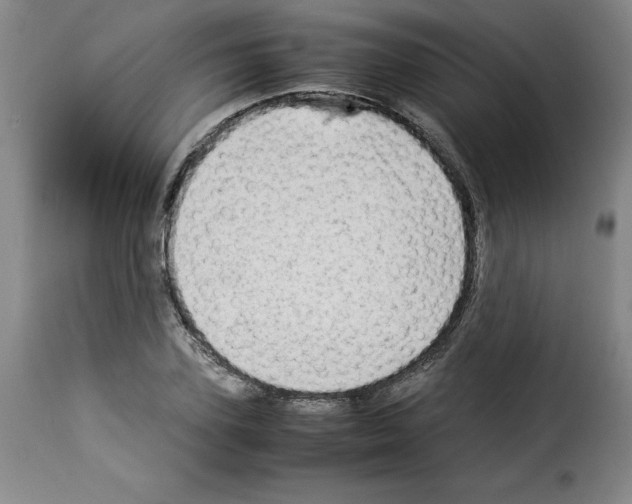 X0000114220931200911201042