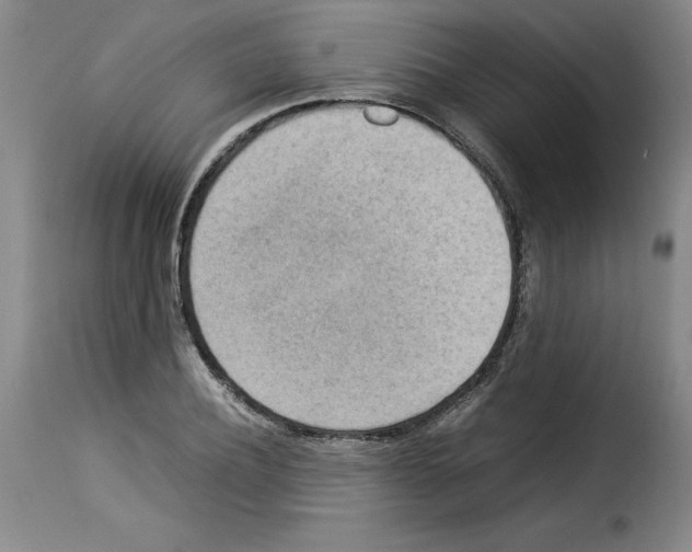 X0000114220932200911201042