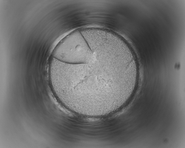 X0000114220933200911201042