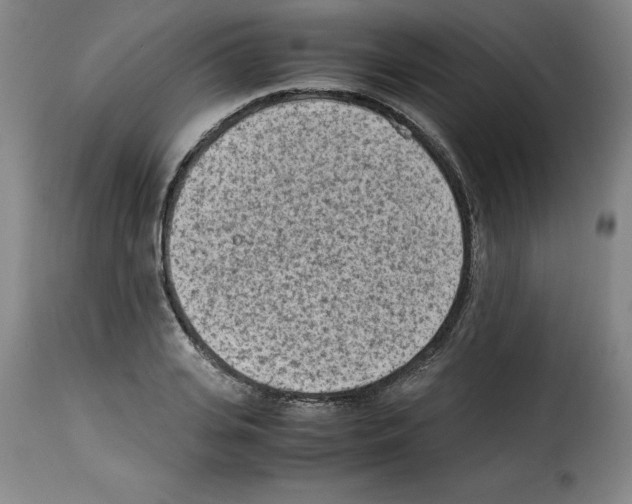 X0000114220935200911201042