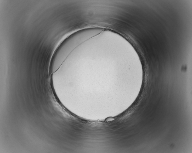 X0000114220940200911201042