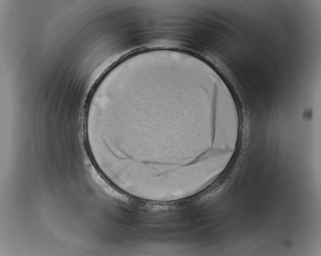 X0000114220941200911201042