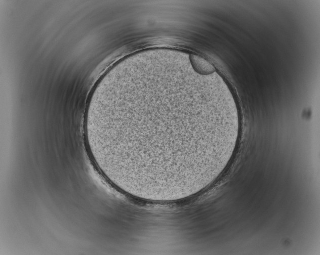 X0000114220946200911201042