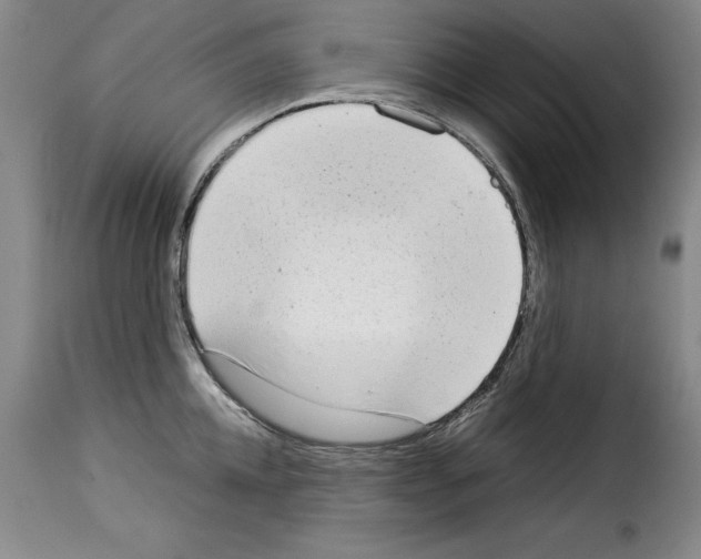 X0000114220952200911201042