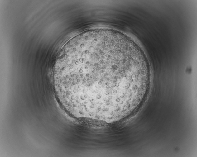 X0000114220953200911201042