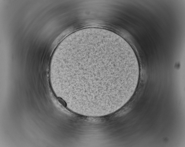 X0000114220954200911201042