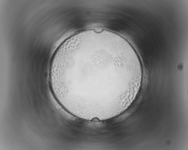 X0000114220957200911201042