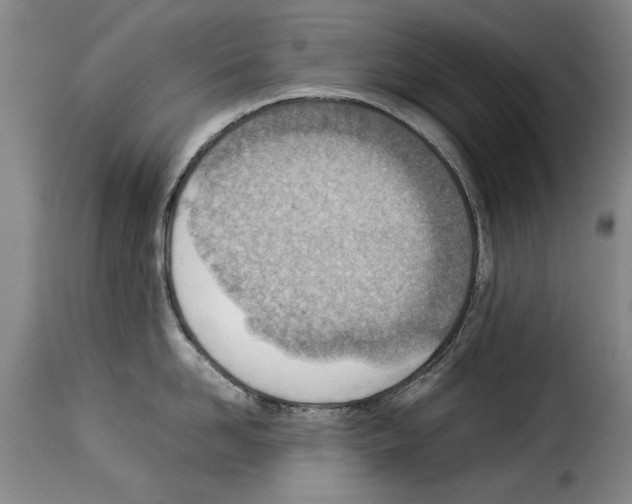 X0000114220958200911201042