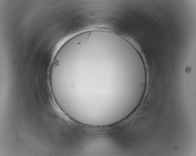 X0000114220960200911201042