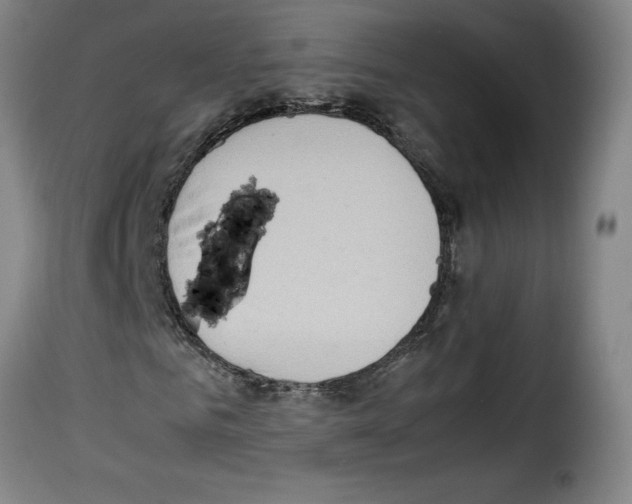 X0000114220961200911201042