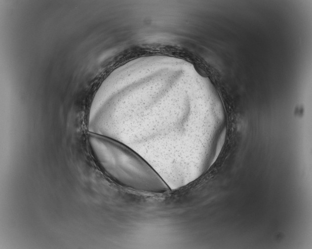X0000114220965200911201042