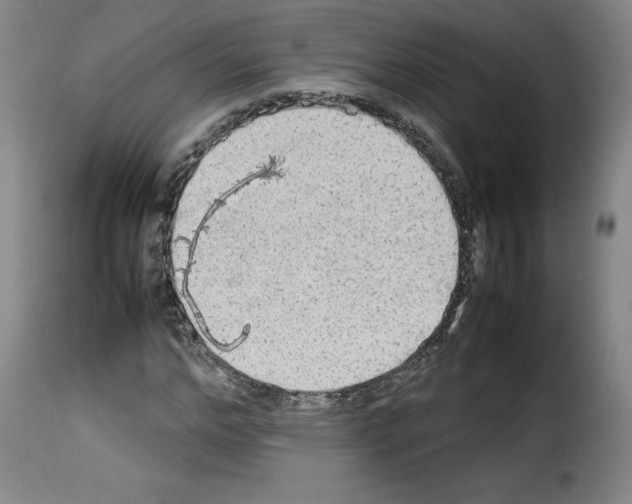 X0000114220968200911201042