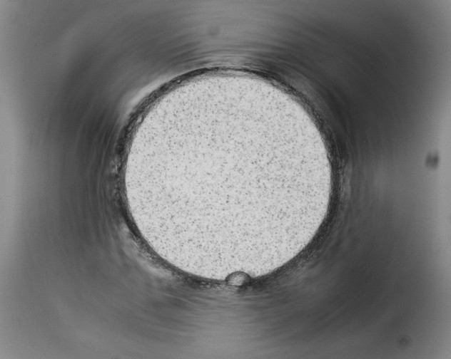 X0000114220971200911201042