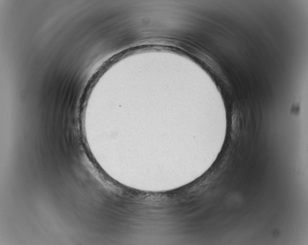 X0000114220972200911201042