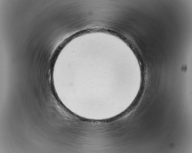 X0000114220973200911201042