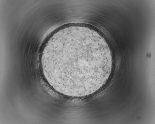 X0000114220974200911201042